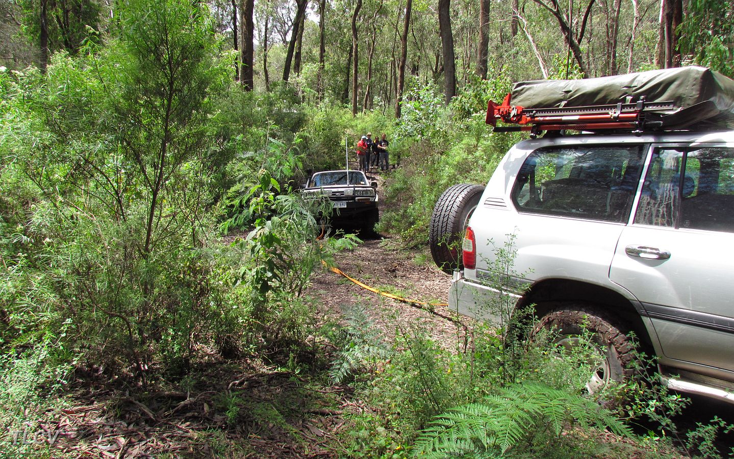 22-Zebra needs a snatch after becoming bogged near the Ben Cruachan Creek.JPG